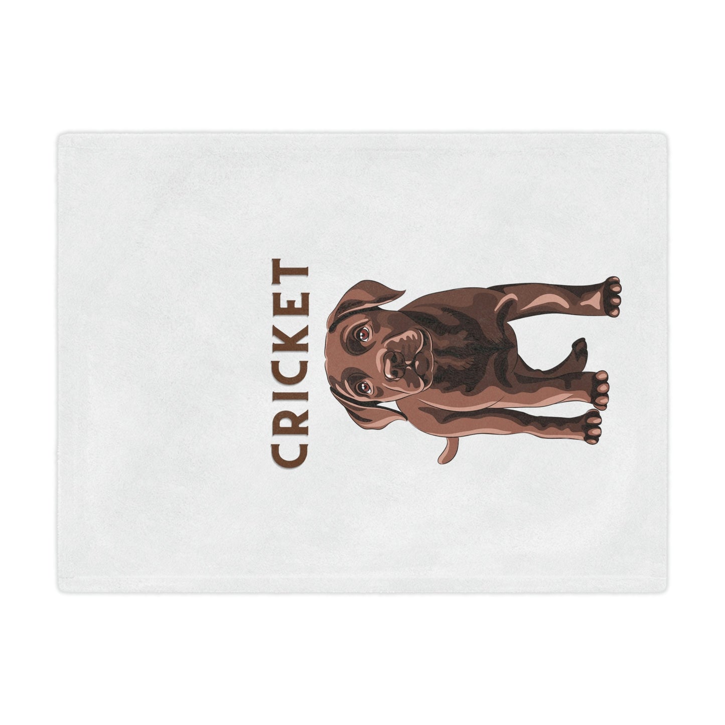 Personalized Chocolate Lab Puppy Blanket