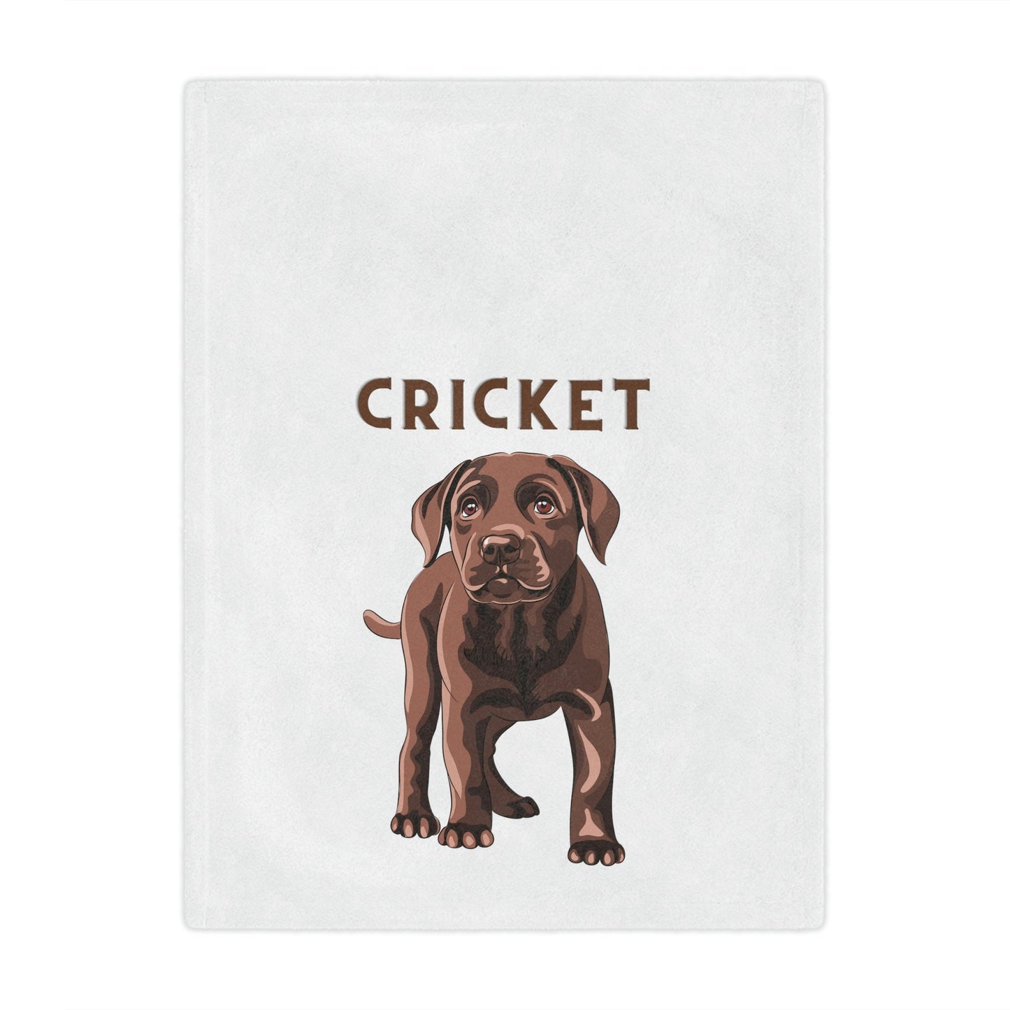 Personalized Chocolate Lab Puppy Blanket