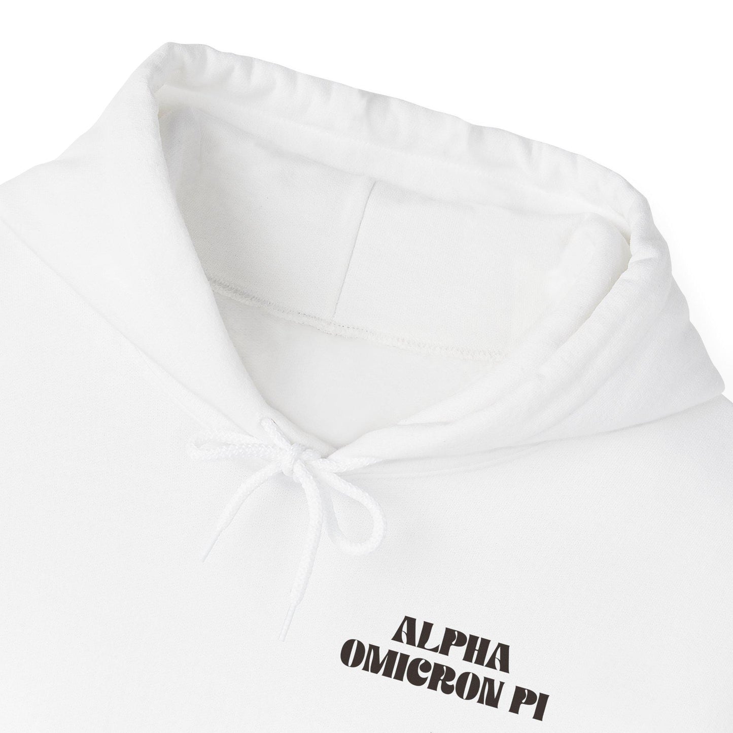 Alpha Omicron Pi Hoodie