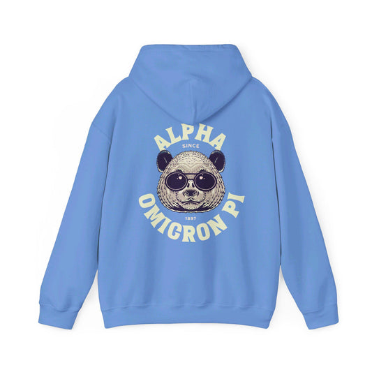 Alpha Omicron Pi Hoodie